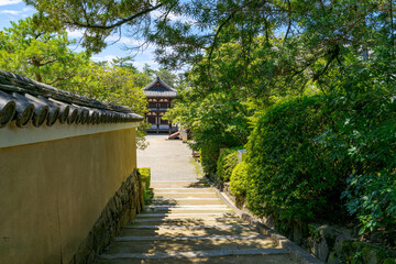【奈良県】奈良市 唐招提寺 (2025/07/10撮影)