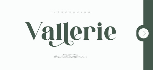 Vallerie Beauty Luxury font alphabet logo. Typography beautiful fashion elegant classic letters serif italic fonts decorative wedding vintage retro logos. vector illustration
