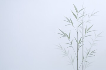 Minimalist Pure White Background with Delicate Green Bamboo Plant for Nature Decor.