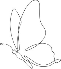 continuous single line drawing of a butterfly, line art vector illustration
