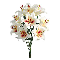 Obraz premium White lily bouquet with red stamens on a clean background. Soft botanical symmetry and fresh petals. Romantic elegance and calm renewal. Ideal for wedding invites and spa branding.