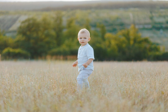 Blond baby boy playing quietly in meadow with tall summer grass