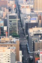 Fototapeta premium Aerial View of a Bustling Urban Street in Sapporo, Hokkaido, Japan