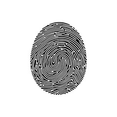 Abstract fingerprint for identity