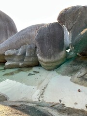Fototapeta premium sea turtle on the beach