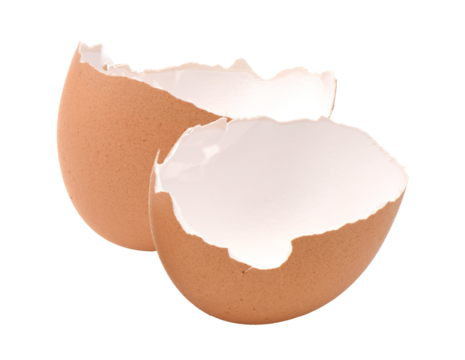 eggshell halves isolated on transparent background.