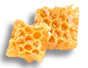 honeycomb pieces isolated on transparent background.