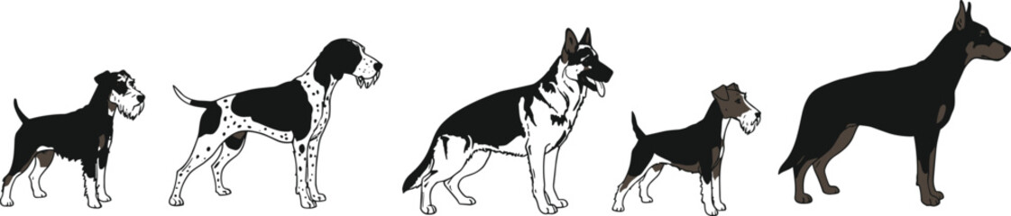 Diverse Dog Breed Silhouettes: Collection of Various Canine Shapes and Sizes, Representing Different Breeds, Ideal for Pet, Animal, and Veterinary Concepts.