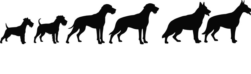 Diverse Dog Breed Silhouettes: Collection of Various Canine Shapes and Sizes, Representing Different Breeds, Ideal for Pet, Animal, and Veterinary Concepts.
