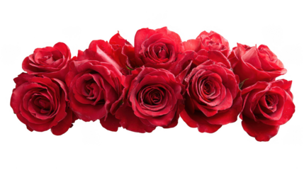 Red Rose Floral Frame Border Arrangements on transparent background