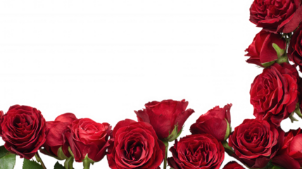 Red Rose Floral Frame Border Arrangements on transparent background