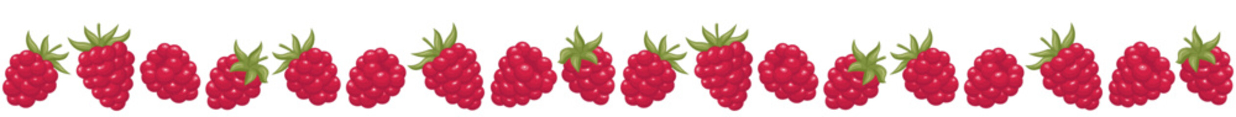 Seamless border frame with raspberry. 