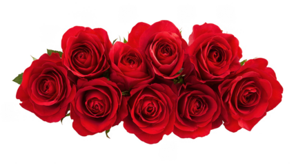 Red Rose Floral Frame Border Arrangements on transparent background