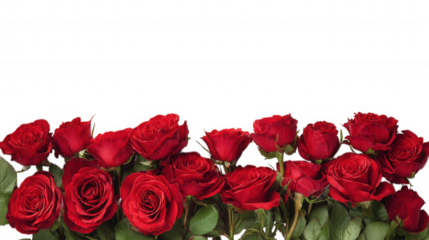 Red Rose Floral Frame Border Arrangements on transparent background