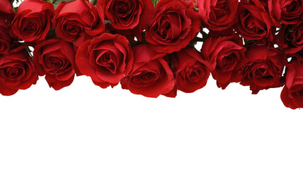 Red Rose Floral Frame Border Arrangements on transparent background
