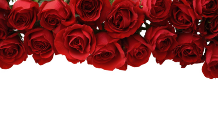 Red Rose Floral Frame Border Arrangements on transparent background