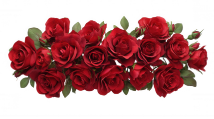 Red Rose Floral Frame Border Arrangements on transparent background