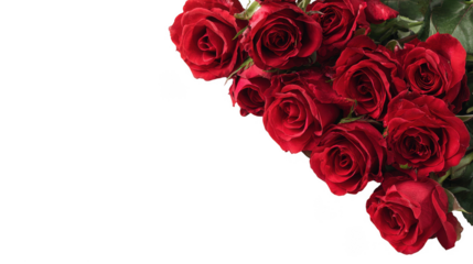 Red Rose Floral Frame Border Arrangements on transparent background