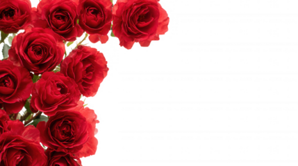 Red Rose Floral Frame Border Arrangements on transparent background