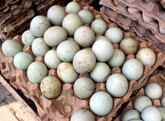 Raw duck eggs placed on trays are sold in traditional markets. Duck eggs are characterized by their...