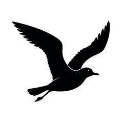 Obraz premium Seagull soaring gracefully with wide open wings Line Art Vector illustration