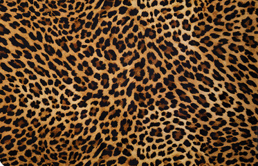 leopard, bright design, animal style, wild print, spots, cat, jaguar, dark background, wool, fashion stylish design for fabric