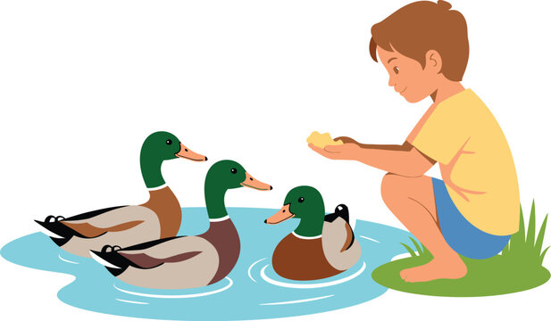 Boy feeding ducks in a pond illustration water