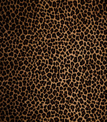 leopard, bright design, animal style, wild print, spots, cat, jaguar, dark background, wool, fashion stylish design for fabric