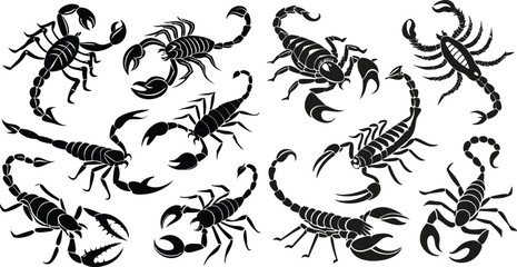 Black Line Scorpion Icons Set including Flat Arachnid Insect Danger and Zodiac Symbol Collection with Minimal Scorpion Icon Group for UI Web Wildlife Nature and Mysterious Design Projects
