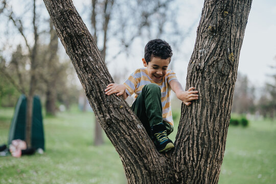 A happy child enjoys climbing a tree in a lush park, showcasing outdoor adventure and play. Captures vibrant moments full of childhood curiosity amid natural surroundings. - Powered by Adobe