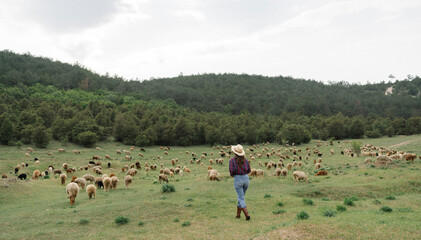 A woman is walking through a field of sheep
