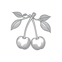 Hand-Drawn Illustration of Two Cherries 