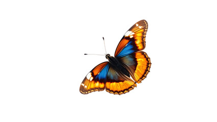 Very beautiful blue yellow orange butterfly in flight isolated on a transparent background isolated