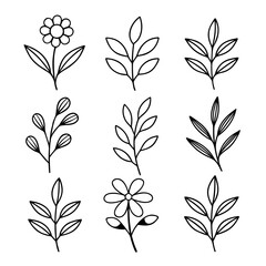 Simple floral and leaf line art illustrations flower leaves