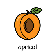 Minimal flat doodle vector illustration of an apricot with handwritten label
