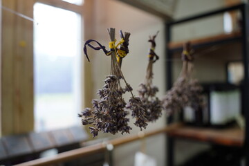 Dried Lavender Bundles Hanging by a Window - Rustic Home Decor