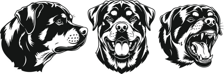 Obraz premium Three rottweiler heads showing different expressions in black and white vector illustration style art
