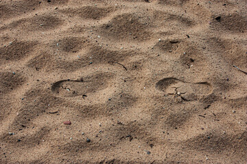 Human footprints on a sandy beach. Sand. The footprints were imprinted in the wet sand