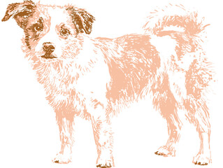 Hand drawn flat vector illustration of a dog in soft colors  