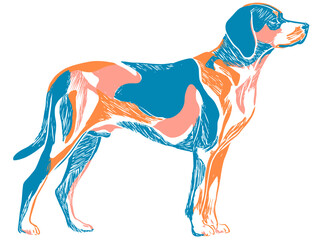 Colorful hand drawn flat vector illustration of a dog standing  