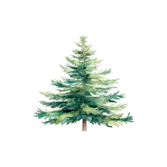 Obraz premium Lush Green Christmas Fir Tree Isolated on White Background