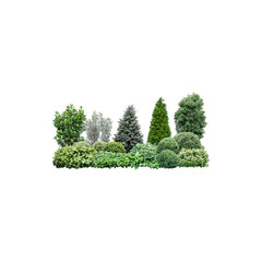  Well Trimmed Ornamental Green Shrubs with Neat Shape Isolated on White Background