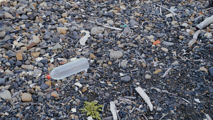 浜に流れ着いたペットボトル