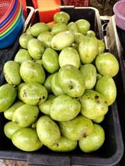 a bunch of green mango in a basket. stacked pile exotic tropical fruit. portrait format picture.