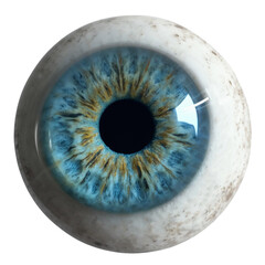 old blue eye
