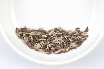 ベビーリーフの種、自然の恵み