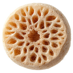 Close up view of a circular loofah sponge with visible porous texture isolated on transparent background