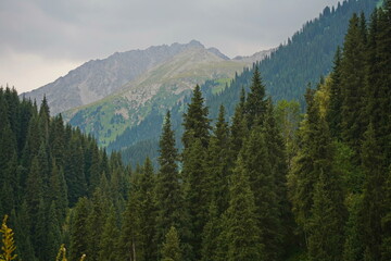 Alma-Arasan Gorge. Ile-Alatau National Park. Mountainous terrain with different vegetation and rivers.