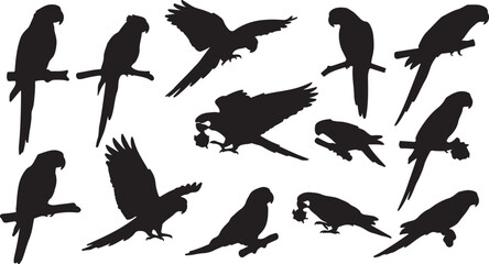 Obraz premium set of silhouettes of birds Parrot Silhouettes Vector Set - Tropical Bird Icons Collection Dynamic Macaw Silhouettes - Flying and Perching Parrot Graphics