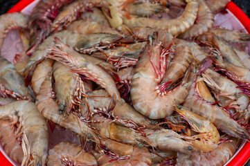 Seafood selling on the street of Vietnam